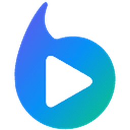Braiv logo