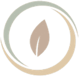MindThera logo