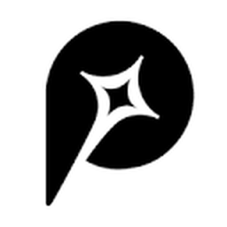 Promer AI logo