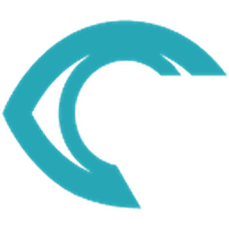 RSIP Vision logo