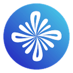 Saleswise logo