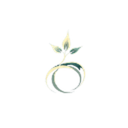 Seedance2 logo