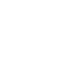 Sorisori AI logo