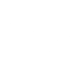 Verve AI logo